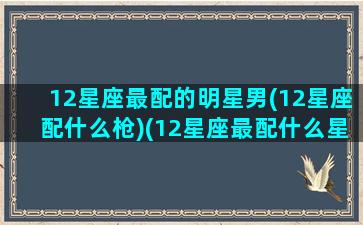 12星座最配的明星男(12星座配什么枪)(12星座最配什么星座的男生)