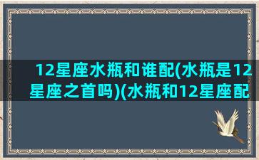 12星座水瓶和谁配(水瓶是12星座之首吗)(水瓶和12星座配对指数)