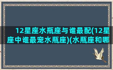 12星座水瓶座与谁最配(12星座中谁最宠水瓶座)(水瓶座和哪个星座是绝配)