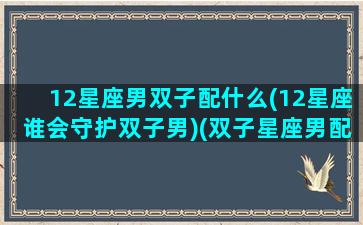 12星座男双子配什么(12星座谁会守护双子男)(双子星座男配什么星座女)