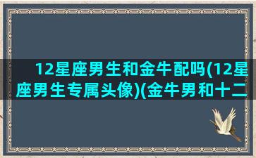 12星座男生和金牛配吗(12星座男生专属头像)(金牛男和十二星座女的关系)