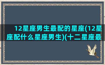 12星座男生最配的星座(12星座配什么星座男生)(十二星座最配哪个男生)