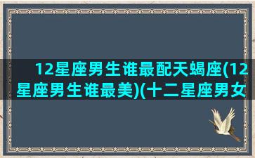 12星座男生谁最配天蝎座(12星座男生谁最美)(十二星座男女最佳配对天蝎座)