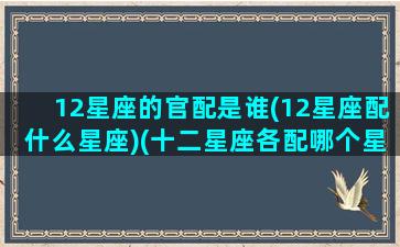 12星座的官配是谁(12星座配什么星座)(十二星座各配哪个星座)