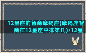 12星座的智商摩羯座(摩羯座智商在12星座中排第几)/12星座的智商摩羯座(摩羯座智商在12星座中排第几)-我的网站