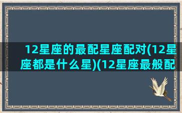 12星座的最配星座配对(12星座都是什么星)(12星座最般配的星座)