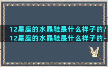 12星座的水晶鞋是什么样子的/12星座的水晶鞋是什么样子的-我的网站