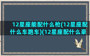 12星座能配什么枪(12星座配什么车跑车)(12星座配什么豪车)