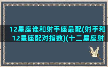 12星座谁和射手座最配(射手和12星座配对指数)(十二星座射手座和什么星座最配)