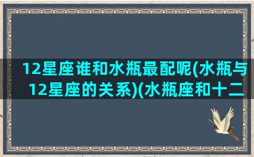 12星座谁和水瓶最配呢(水瓶与12星座的关系)(水瓶座和十二星座配对百分比)