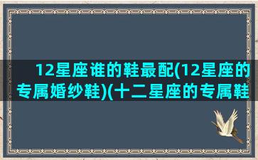 12星座谁的鞋最配(12星座的专属婚纱鞋)(十二星座的专属鞋子长什么样子)