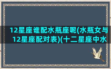 12星座谁配水瓶座呢(水瓶女与12星座配对表)(十二星座中水瓶座和谁最配)