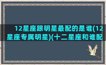 12星座跟明星最配的是谁(12星座专属明星)(十二星座和谁配在一起)