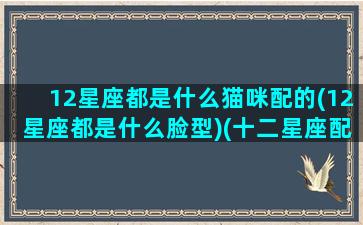 12星座都是什么猫咪配的(12星座都是什么脸型)(十二星座配哪个小猫)