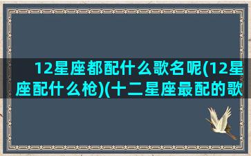 12星座都配什么歌名呢(12星座配什么枪)(十二星座最配的歌曲)