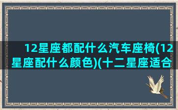 12星座都配什么汽车座椅(12星座配什么颜色)(十二星座适合什么颜色的车)