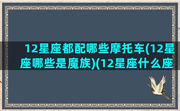 12星座都配哪些摩托车(12星座哪些是魔族)(12星座什么座和什么座)