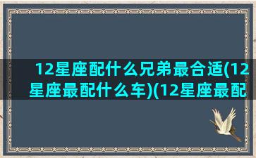 12星座配什么兄弟最合适(12星座最配什么车)(12星座最配什么跑车)