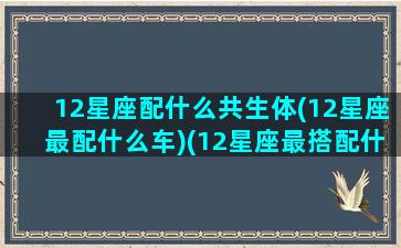 12星座配什么共生体(12星座最配什么车)(12星座最搭配什么星座)