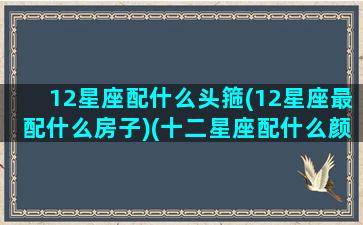 12星座配什么头箍(12星座最配什么房子)(十二星座配什么颜色好看)