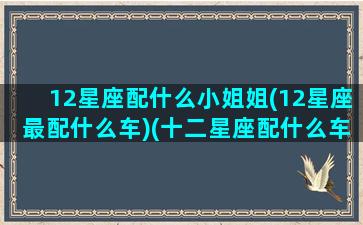 12星座配什么小姐姐(12星座最配什么车)(十二星座配什么车什么颜色)