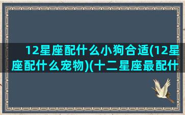 12星座配什么小狗合适(12星座配什么宠物)(十二星座最配什么狗狗)