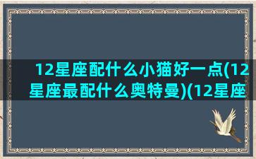 12星座配什么小猫好一点(12星座最配什么奥特曼)(12星座配什么宠物)