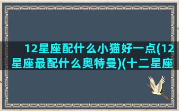 12星座配什么小猫好一点(12星座最配什么奥特曼)(十二星座配哪个小猫)