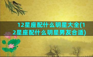 12星座配什么明星大全(12星座配什么明星男友合适)