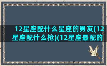 12星座配什么星座的男友(12星座配什么枪)(12星座最配的星座(男朋友)