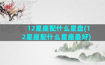 12星座配什么星盘(12星座配什么星座最好)