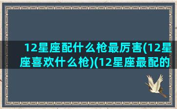 12星座配什么枪最厉害(12星座喜欢什么枪)(12星座最配的吃鸡枪)