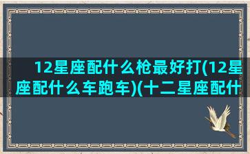 12星座配什么枪最好打(12星座配什么车跑车)(十二星座配什么车)