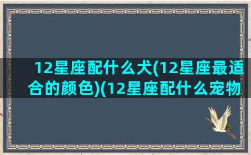 12星座配什么犬(12星座最适合的颜色)(12星座配什么宠物)