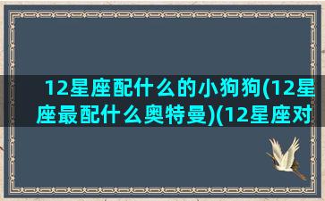 12星座配什么的小狗狗(12星座最配什么奥特曼)(12星座对应的狗狗)