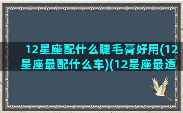 12星座配什么睫毛膏好用(12星座最配什么车)(12星座最适合的颜色)