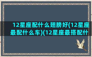 12星座配什么翅膀好(12星座最配什么车)(12星座最搭配什么星座)