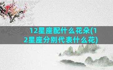 12星座配什么花朵(12星座分别代表什么花)