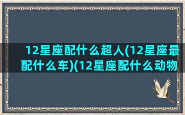 12星座配什么超人(12星座最配什么车)(12星座配什么动物)