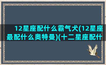 12星座配什么霸气犬(12星座最配什么奥特曼)(十二星座配什么样的男生)