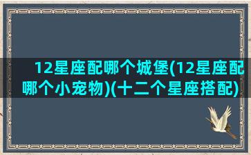 12星座配哪个城堡(12星座配哪个小宠物)(十二个星座搭配)