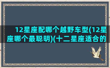 12星座配哪个越野车型(12星座哪个最聪明)(十二星座适合的车品牌)