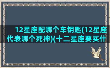 12星座配哪个车钥匙(12星座代表哪个死神)(十二星座要买什么车)