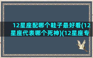 12星座配哪个鞋子最好看(12星座代表哪个死神)(12星座专属的鞋子)