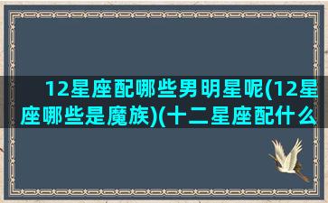 12星座配哪些男明星呢(12星座哪些是魔族)(十二星座配什么男明星)