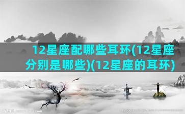 12星座配哪些耳环(12星座分别是哪些)(12星座的耳环)