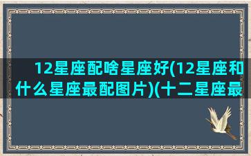 12星座配啥星座好(12星座和什么星座最配图片)(十二星座最搭配的星座)