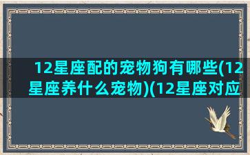 12星座配的宠物狗有哪些(12星座养什么宠物)(12星座对应的宠物)