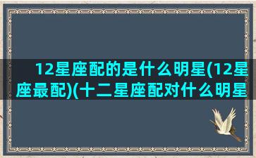 12星座配的是什么明星(12星座最配)(十二星座配对什么明星)