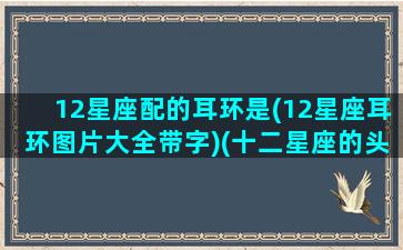 12星座配的耳环是(12星座耳环图片大全带字)(十二星座的头饰和耳环)